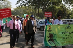 smc-walk