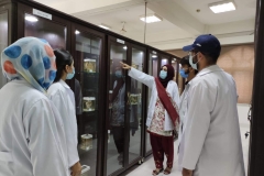 Pathology-1