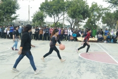basket