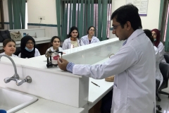 dental-meterial2