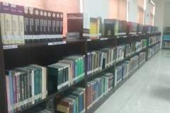 Library-Books-2