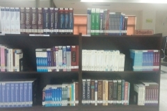 Library-Books-3